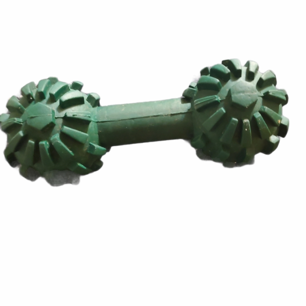 Green rubber dog chew toy